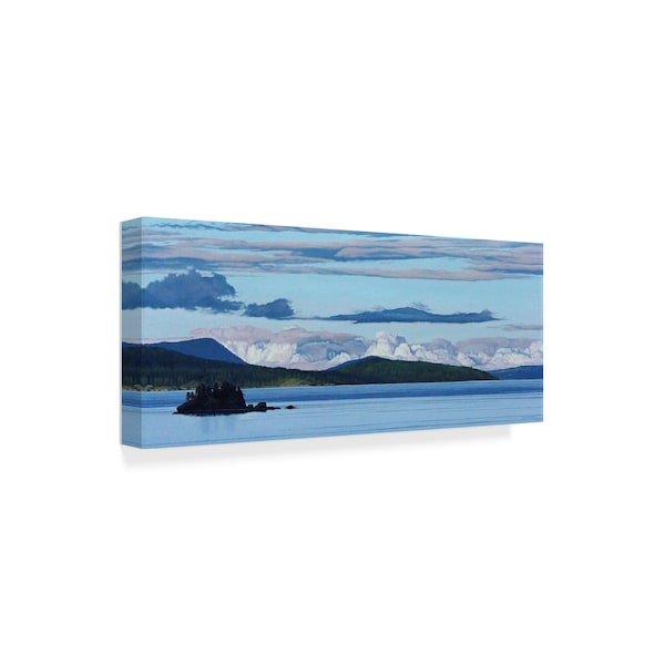 Ron Parker 'Swartz Bay Evening' Canvas Art,8x19